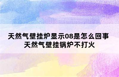 天然气壁挂炉显示08是怎么回事 天然气壁挂锅炉不打火